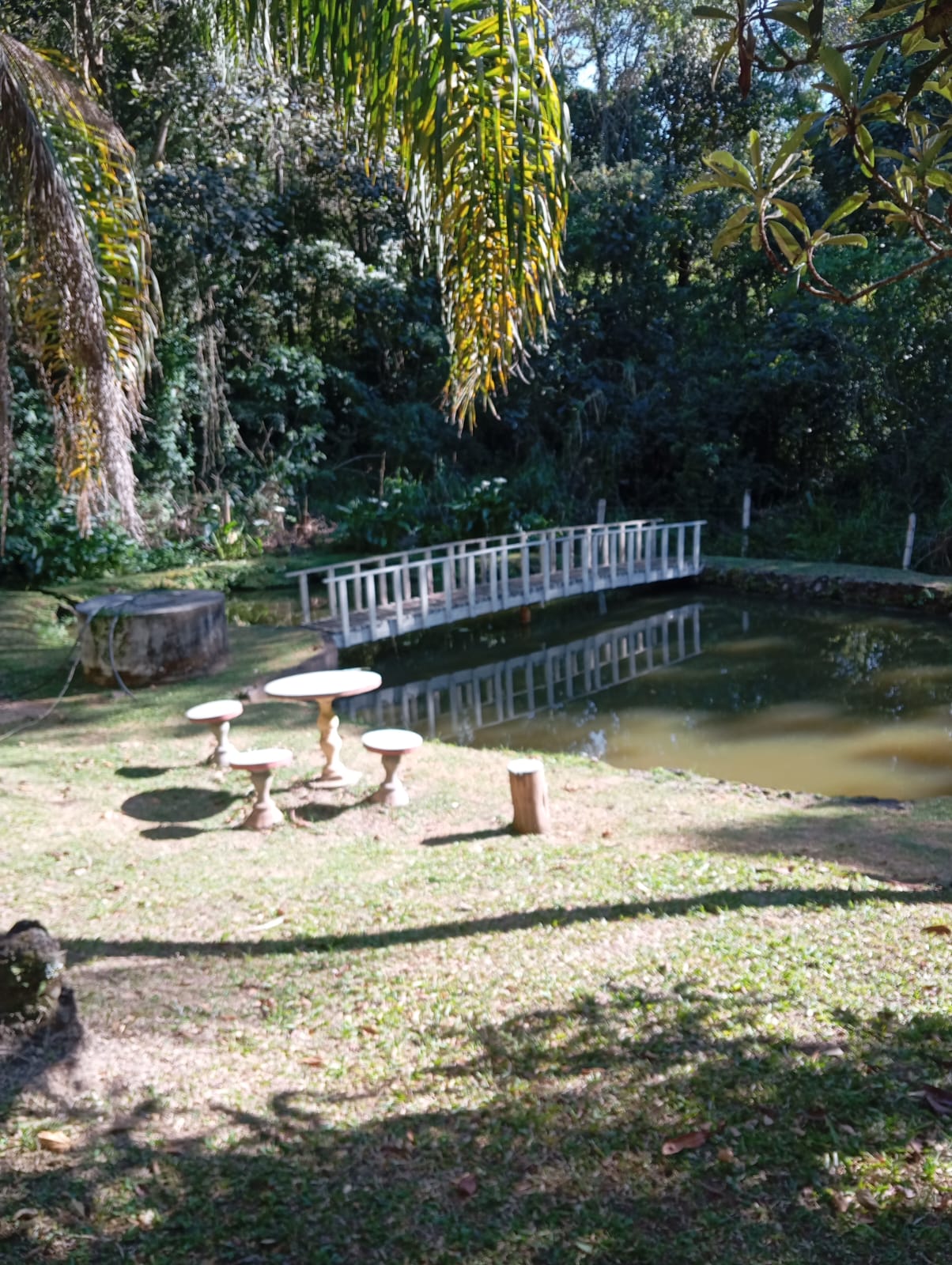 Sítio à Venda em Extrema-MG Mina d’Água, Piscina e Lago com Peixes cod. 1195