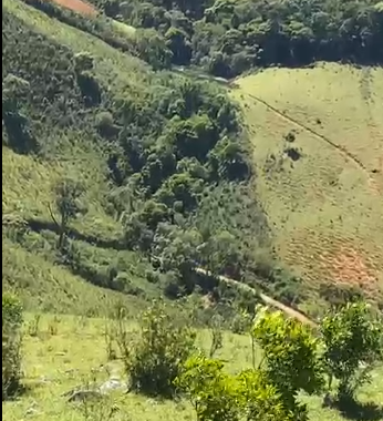 Sítio à Venda em Camanducaia-MG – 13 Alqueires com Nascente, Escritura e Fácil Acesso cod 1197