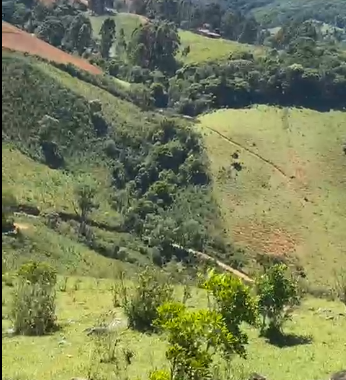 Sítio à Venda em Camanducaia-MG – 13 Alqueires com Nascente, Escritura e Fácil Acesso cod 1197