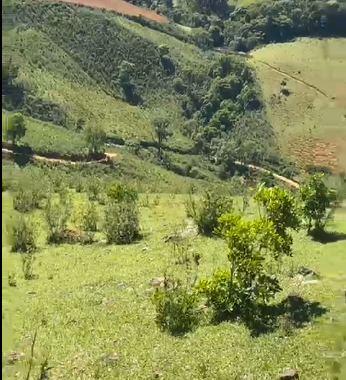 Sítio à Venda em Camanducaia-MG – 13 Alqueires com Nascente, Escritura e Fácil Acesso cod 1197