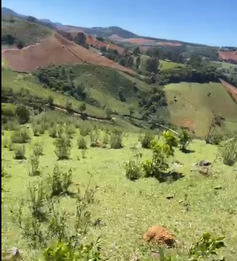 Sítio à Venda em Camanducaia-MG – 13 Alqueires com Nascente, Escritura e Fácil Acesso cod 1197