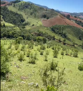 Sítio à Venda em Camanducaia-MG – 13 Alqueires com Nascente, Escritura e Fácil Acesso cod 1197