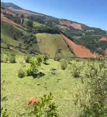 Sítio à Venda em Camanducaia-MG – 13 Alqueires com Nascente, Escritura e Fácil Acesso cod 1197