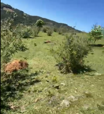 Sítio à Venda em Camanducaia-MG – 13 Alqueires com Nascente, Escritura e Fácil Acesso cod 1197