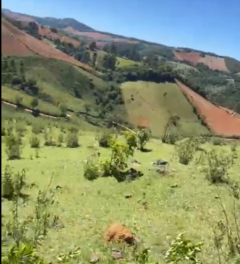 Sítio à Venda em Camanducaia-MG – 13 Alqueires com Nascente, Escritura e Fácil Acesso cod 1197