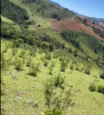 Sítio à Venda em Camanducaia-MG – 13 Alqueires com Nascente, Escritura e Fácil Acesso cod 1197