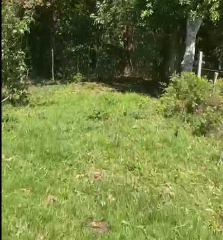 Sítio à Venda em Camanducaia-MG – 13 Alqueires com Nascente, Escritura e Fácil Acesso cod 1197