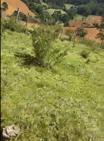 Sítio à Venda em Camanducaia-MG – 13 Alqueires com Nascente, Escritura e Fácil Acesso cod 1197