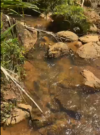 Sítio à Venda em Camanducaia-MG – 13 Alqueires com Nascente, Escritura e Fácil Acesso cod 1197