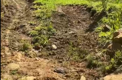 Sítio à Venda em Camanducaia-MG – 13 Alqueires com Nascente, Escritura e Fácil Acesso cod 1197