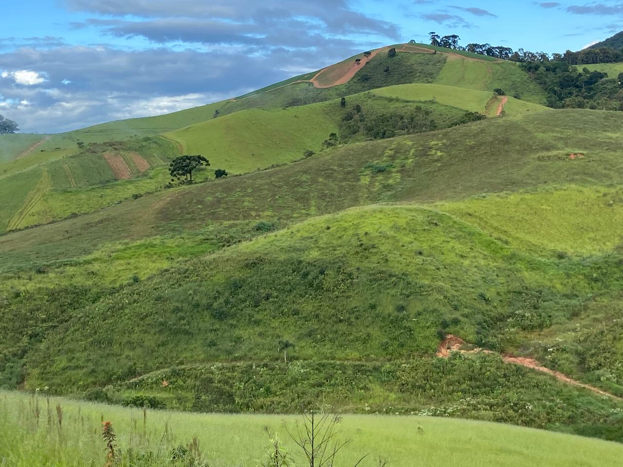Sítio na divisa de Camanducaia com Joanópolis excelente para agropecuária cod 1198