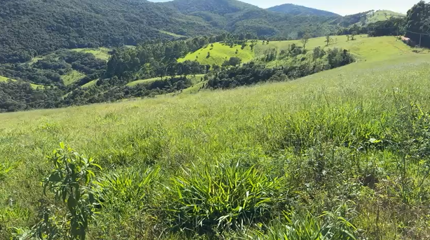 Sítio na divisa de Camanducaia com Joanópolis excelente para agropecuária cod 1198