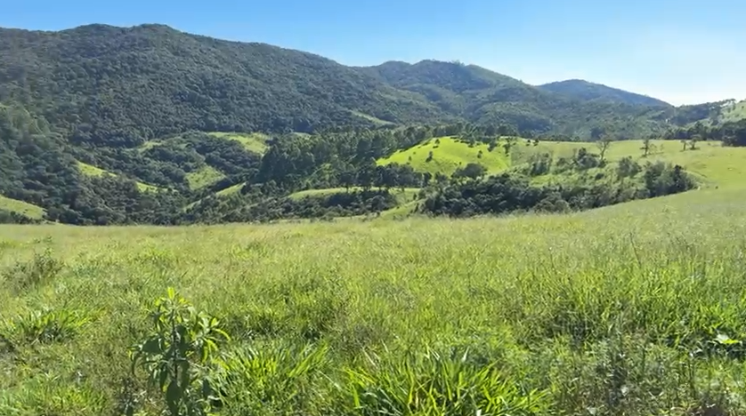 Sítio na divisa de Camanducaia com Joanópolis excelente para agropecuária cod 1198