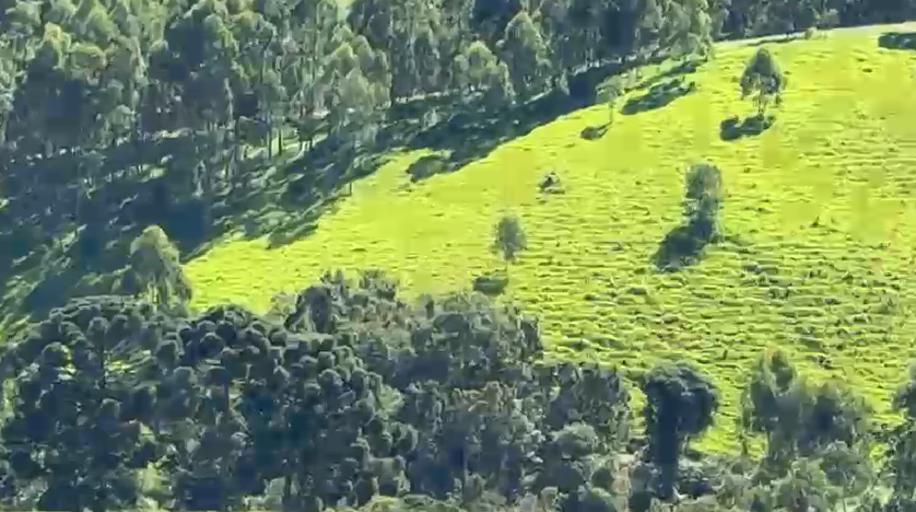 Sítio na divisa de Camanducaia com Joanópolis excelente para agropecuária cod 1198
