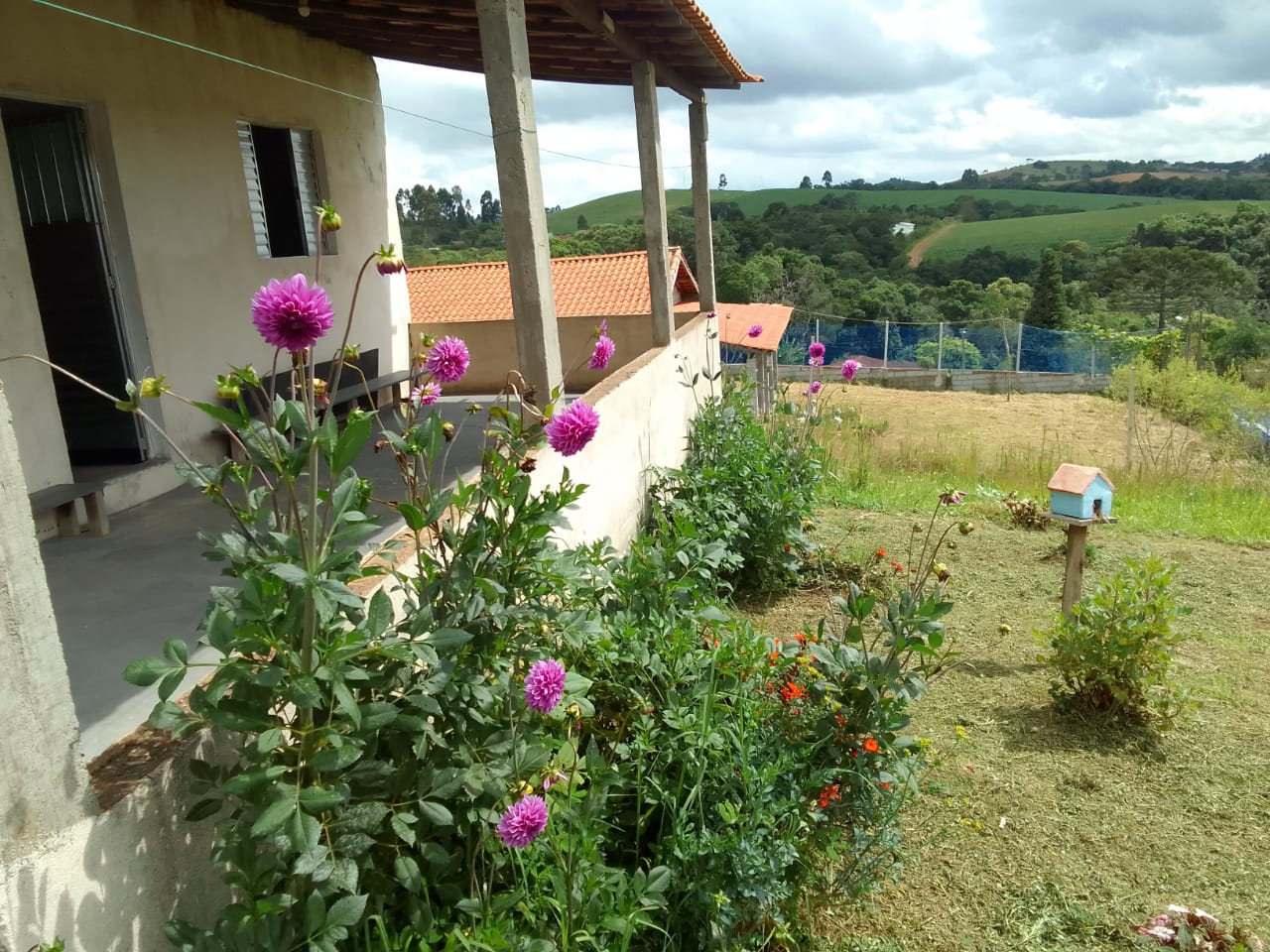 Chácara à Venda em Munhoz-MG | 1000m-Escritura OK1199