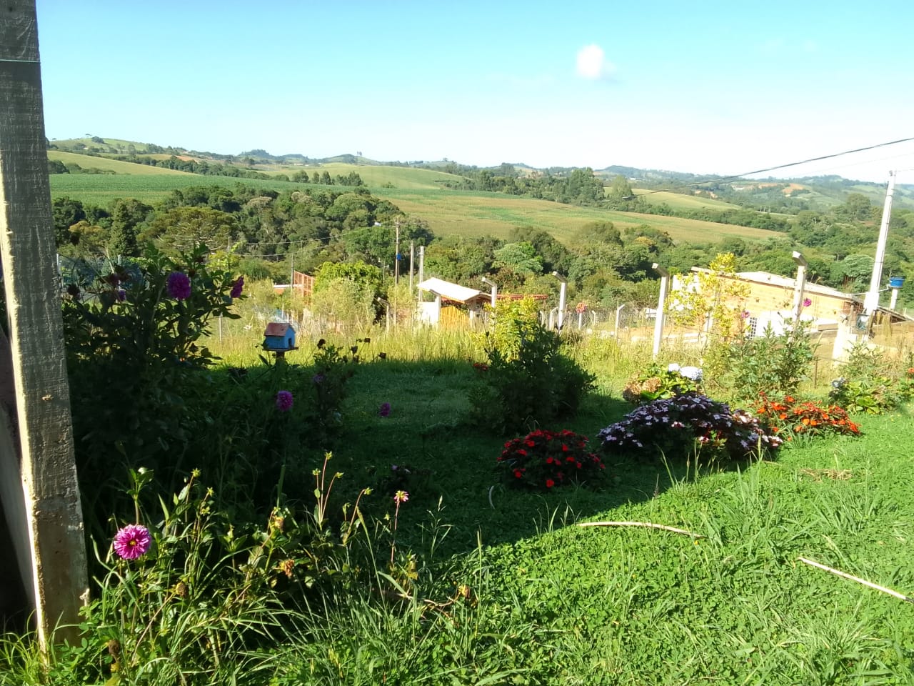 Chácara à Venda em Munhoz-MG | 1000m-Escritura OK1199