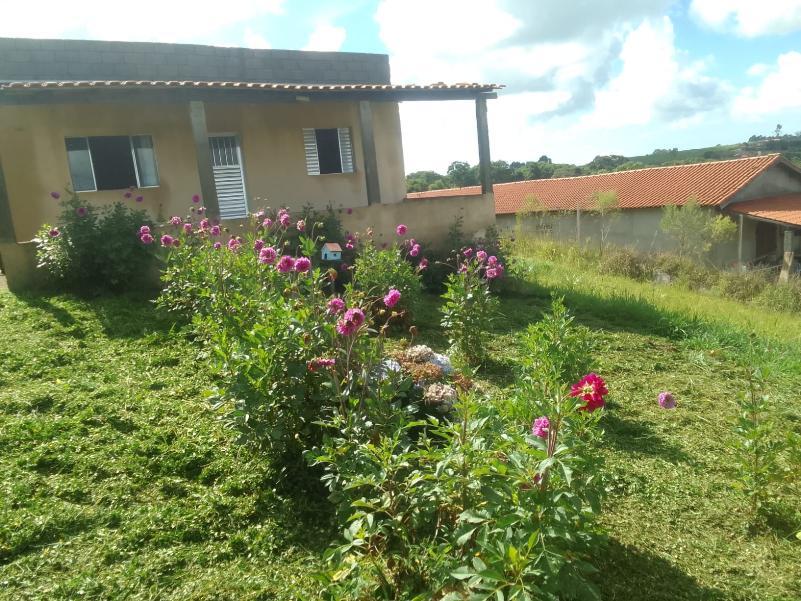 Chácara à Venda em Munhoz-MG | 1000m-Escritura OK1199
