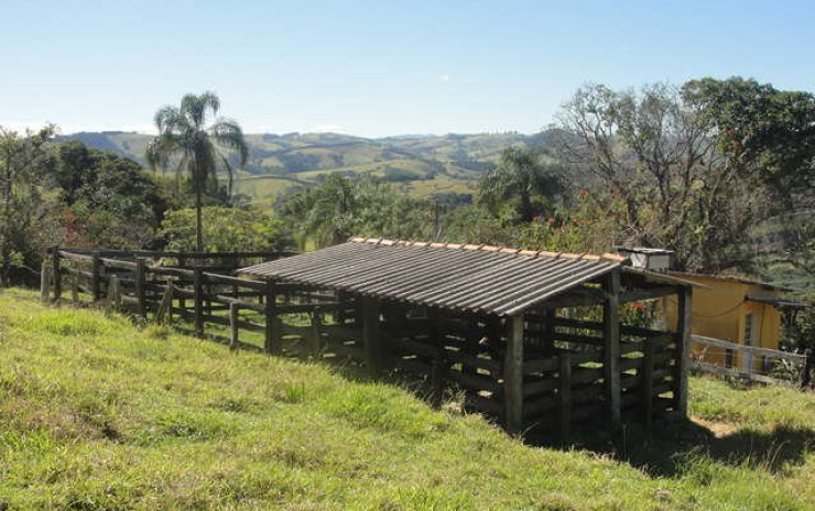 Sítio com casa, piscina, churrasqueira, pomar. localizado em Munhoz | código 256