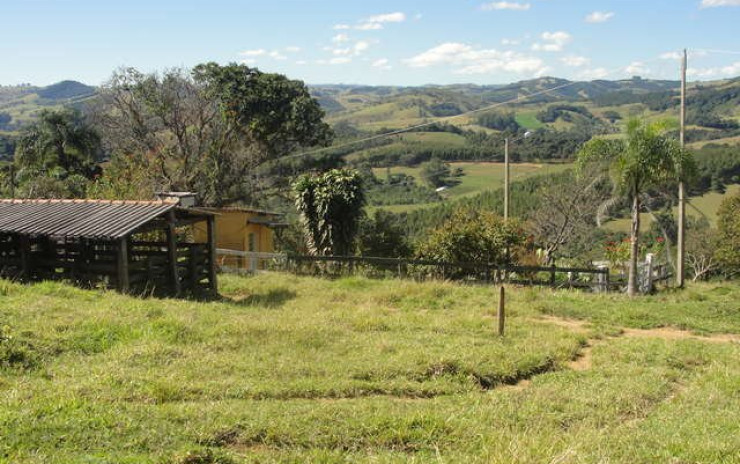 Sítio com casa, piscina, churrasqueira, pomar. localizado em Munhoz | código 256