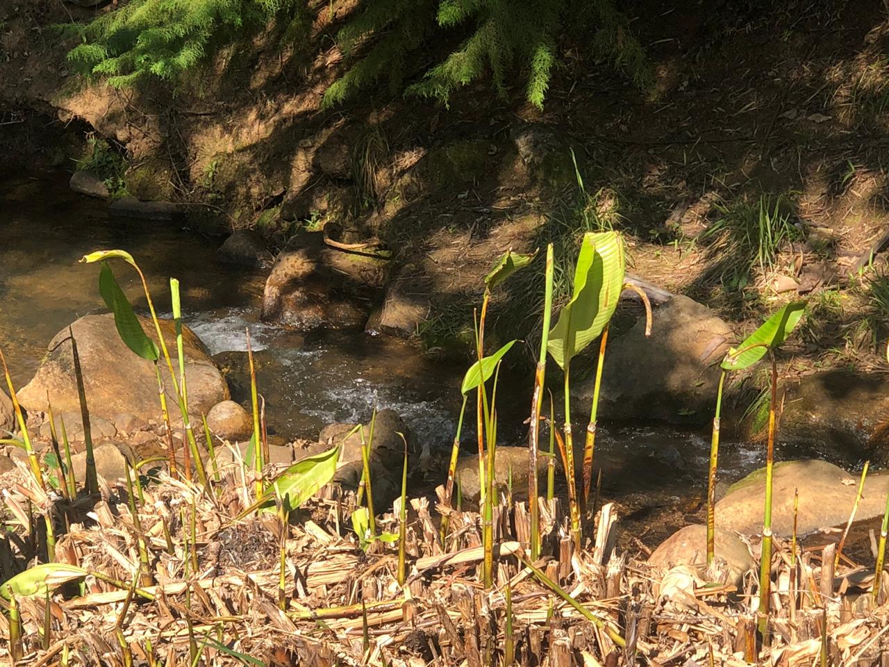 Chácara com piscina, lago, cachoeira, horta, pomar em extrema MG | código 568