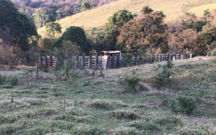 Fazenda com pastagem, curral. lago de peixes. muita água. Itapeva MG | código 608