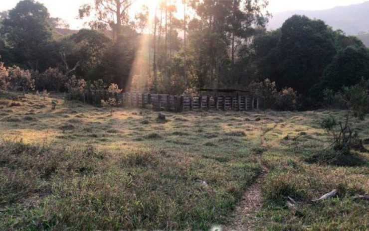 Fazenda com pastagem, curral. lago de peixes. muita água. Itapeva MG | código 608