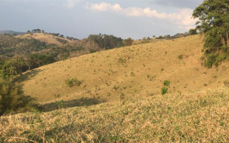 Fazenda com pastagem, curral. lago de peixes. muita água. Itapeva MG | código 608