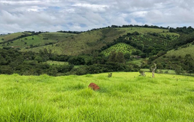 Fazenda com  muita água de nascente, rio nos fundos. Sul de Minas | código 609