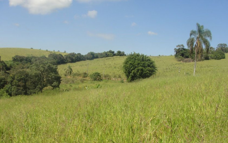 Chácara com boa topografia, boa chegada, 2Km da cidade. | Toledo MG | código 619