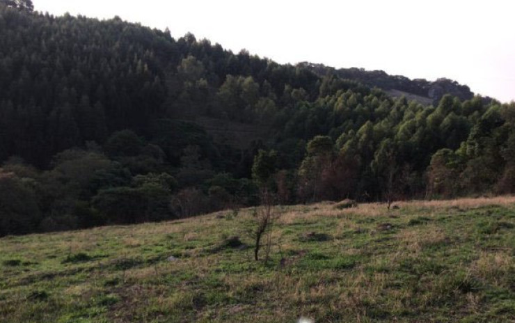 Sítio só terreno com nascente, linda vista panorâmica | Toledo MG | código 648