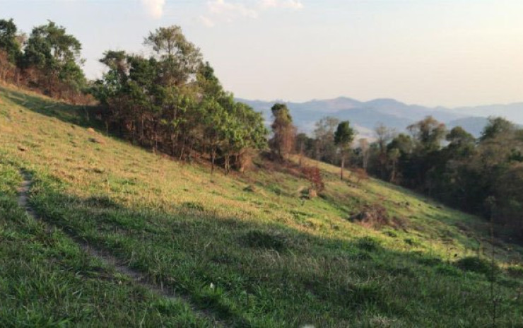 Sítio só terreno com nascente, linda vista panorâmica | Toledo MG | código 648