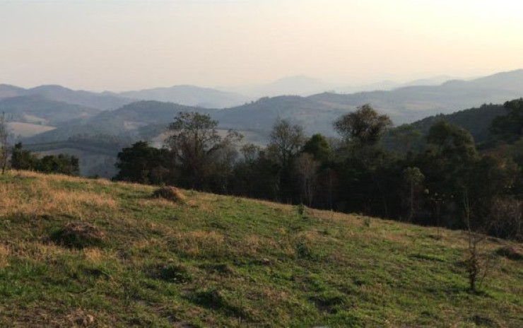 Sítio só terreno com nascente, linda vista panorâmica | Toledo MG | código 648