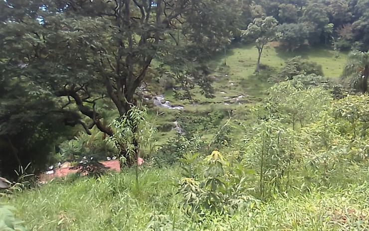 Excelente terreno para formar chácara, com vista panorâmica | Extrema MG | código 687