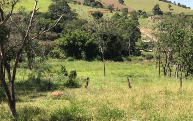 Sítio com: nascente, lago grande, córrego; 2 km do asfalto | Itapeva - MG | código 711