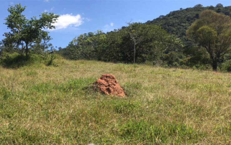 Sítio com: nascente, lago grande, córrego; 2 km do asfalto | Itapeva - MG | código 711