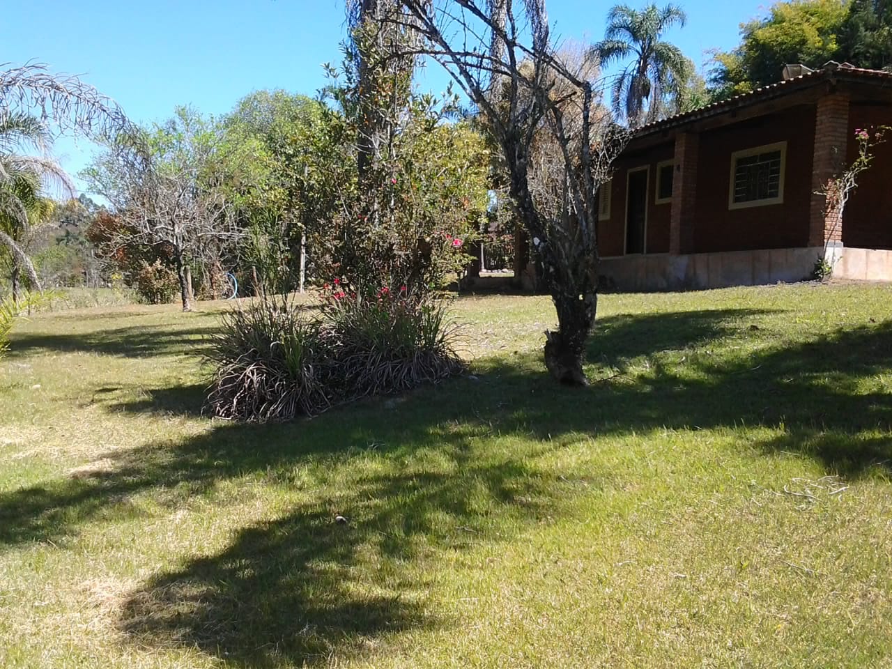 Sítio com piscina, casa com 4 dormitórios, garagem | Cambuí - MG | código 731