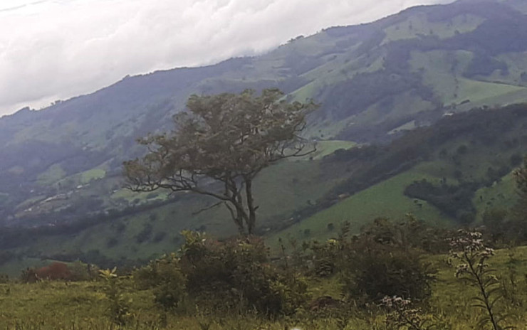 Sítio 70% aproveitável, estrada toda asfaltada, vista panorâmica | Extrema - MG | código 746