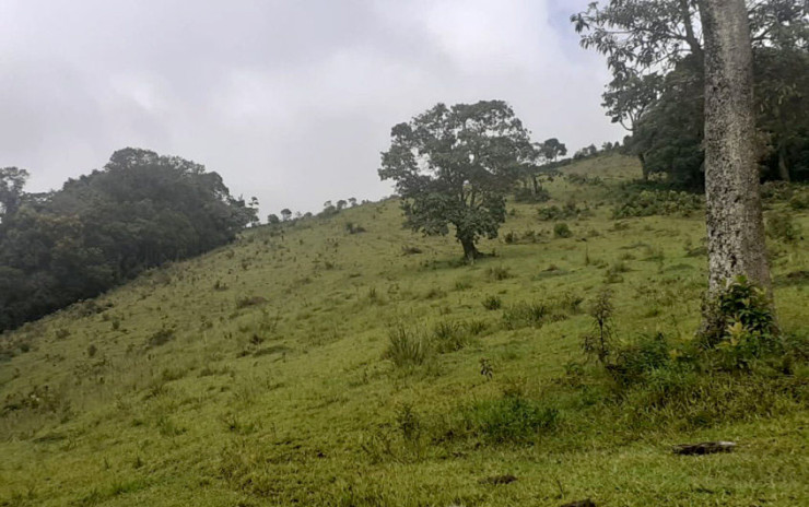 Sítio 70% aproveitável, estrada toda asfaltada, vista panorâmica | Extrema - MG | código 746