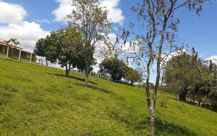 Sitio com vista panorâmica, chegada toda asfaltada | Extrema MG | código 751