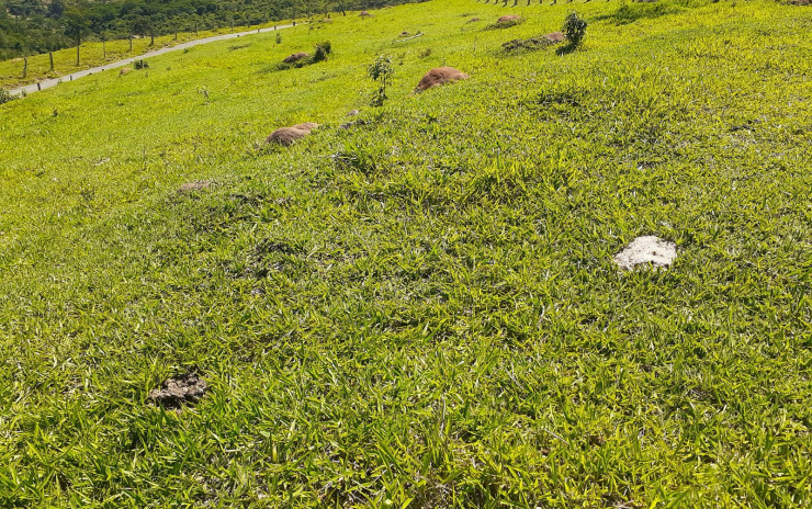 Sitio com vista panorâmica, chegada toda asfaltada | Extrema MG | código 751