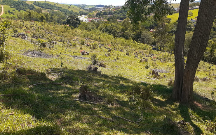 Terreno para indústria ou empreendimento imobiliário | Vargem - SP | código 759