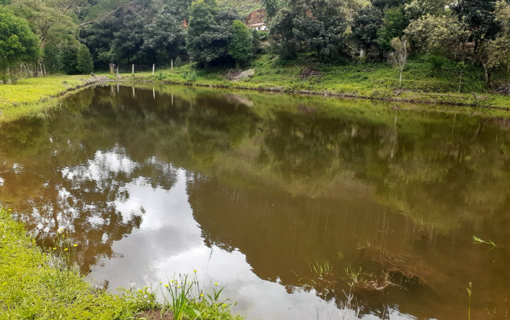 Linda fazenda com vários taques de agua, lagos e, nascentes | Camanducaia - MG | código 765