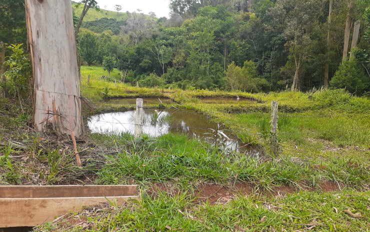 Linda fazenda com vários taques de agua, lagos e, nascentes | Camanducaia - MG | código 765