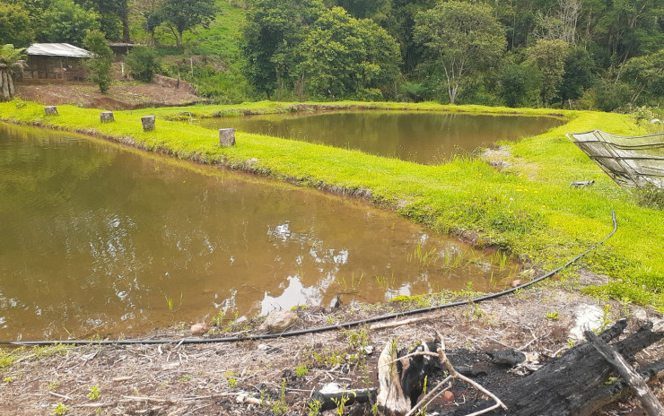 Linda fazenda com vários taques de agua, lagos e, nascentes | Camanducaia - MG | código 765