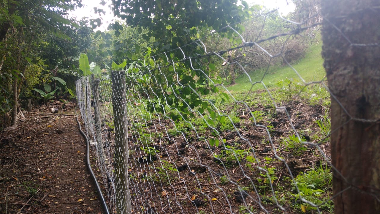 Chácara: terreno plano com casa sede e casa de caseiro | Extrema - MG | código 785