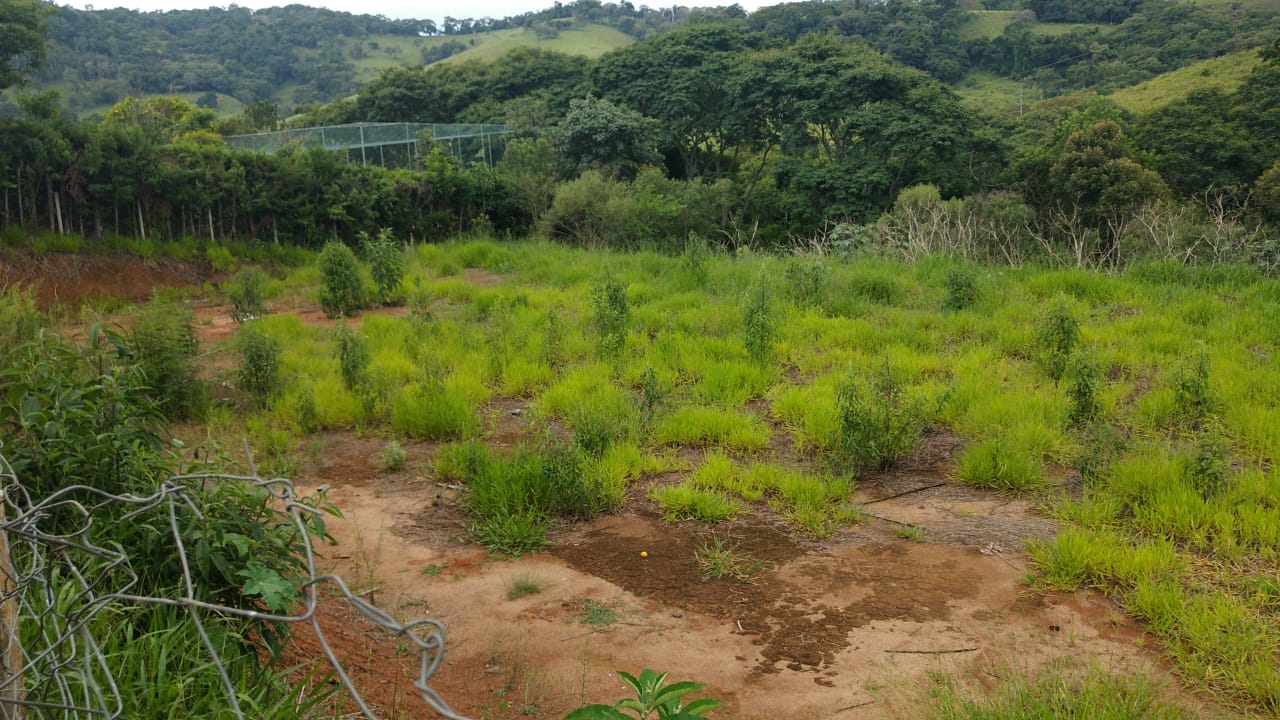 Chácara: terreno plano com casa sede e casa de caseiro | Extrema - MG | código 785