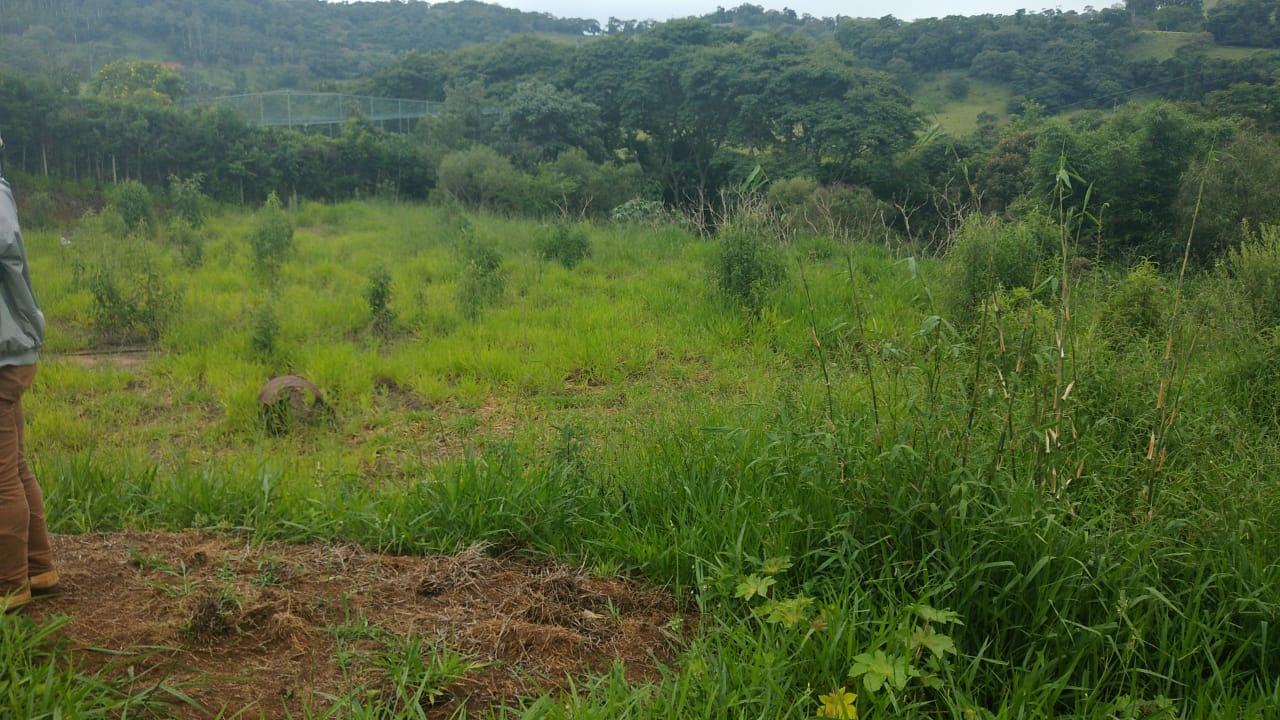 Chácara: terreno plano com casa sede e casa de caseiro | Extrema - MG | código 785