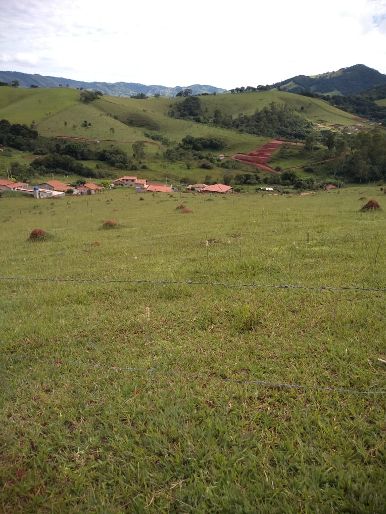 Terreno plano para formar uma chácara; bem localizado | Itapeva - MG | código 789