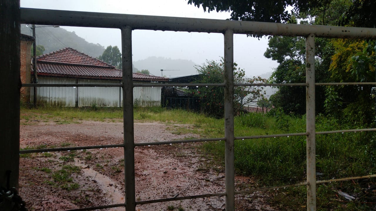 Fazenda riquíssima em água, terreno para plantio ou pecuária | Toledo MG | código 800