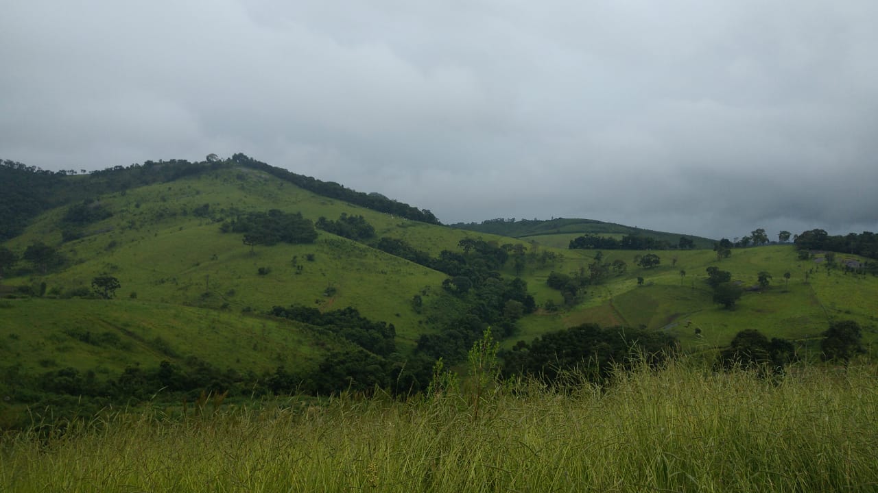 Fazenda riquíssima em água, terreno para plantio ou pecuária | Toledo MG | código 800